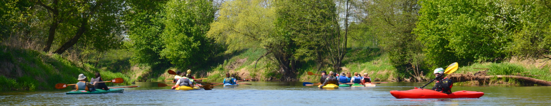 Grupa kajakarzy na rzece Prośnie
